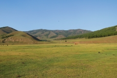 steppe16