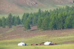 steppe17
