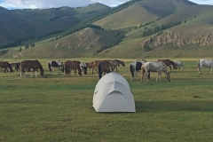 steppes1
