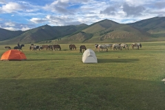 steppes2