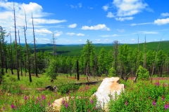 steppes3