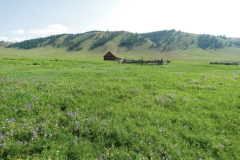 steppes6