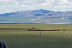 steppes8